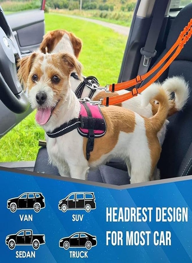 PETANGEL Double Dog Seat Belt, Dual Pet Car Headrest Restraint Safety Seatbelt No Tangle Dog Leash Duty Adjust Elastic Bungee Lead Splitter Connect Harness in Vehicle Travel for 2 Dogs (Orange) - Image 4