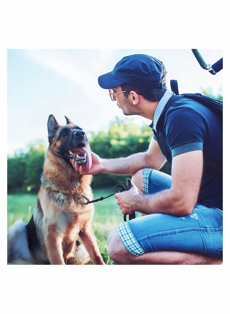 SYOSI مشابك مفاتيح كاربينر مع قفل على شكل حرف D 12 حزمة مشابك زنبركية للأدوات، مشابك للتعليق على حقيبة الظهر، تكتيكية للسفر في الهواء الطلق، التخييم، المشي، الصيد - Image 2