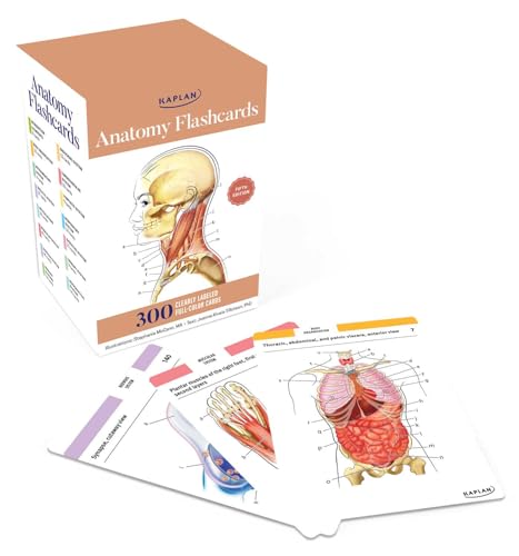 Anatomy Flashcards 300 Flashcards With Anatomically Precise Drawings And Exhaustive Descriptions