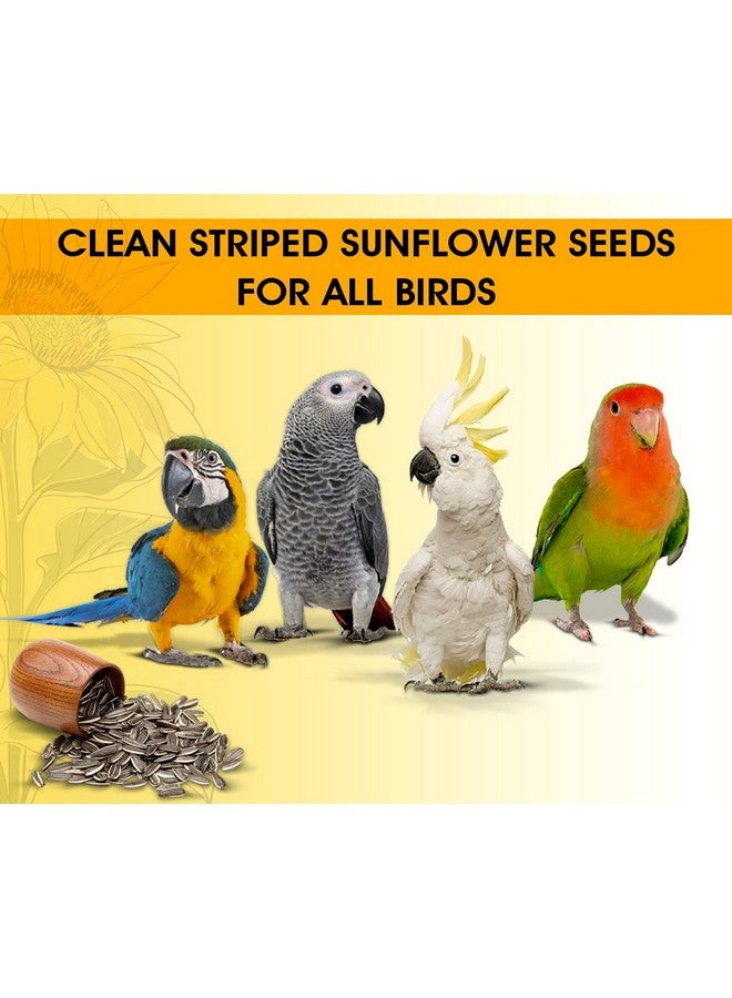 Boltze بذور عباد الشمس الفاخرة المخططة للطيور 1000 جرام، طعام الطيور للطيور المحبة، والكوكتيل، والببغاء الرمادي الأفريقي، والأمازون، والماكاو، والكوكاتو لجميع مراحل الحياة (1000 جرام) - Image 4
