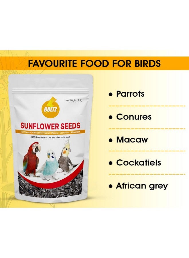 Boltze بذور عباد الشمس الفاخرة المخططة للطيور 1000 جرام، طعام الطيور للطيور المحبة، والكوكتيل، والببغاء الرمادي الأفريقي، والأمازون، والماكاو، والكوكاتو لجميع مراحل الحياة (1000 جرام) - Image 2