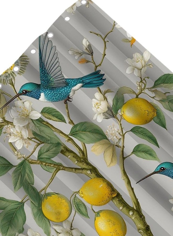 Moslion Shower Curtain Bird Hummingbird Lemon Summer Fresh Fruits Floral Tree Branches Berries Nature Funny Shower Curtain for Bathroom Decoration Polyester 72Wx72H Inch - Image 4