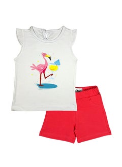 Flamingo White T-shirt Short Girls Set (White T-shirt + Pink Shorts) - pzsku/ZEB95748D1F02CD21E241Z/45/_/1720951537/3e1e5ec8-d396-411d-85fa-86c5e9516323