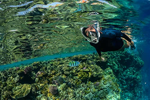 OCEANREEF OCEAN REEF - Aria QR + Quick Release Snorkeling Mask - Full Face Snorkeling Mask - 180 Degree Underwater Vision - 5 Colors and 3 Sizes - White Color - Size L/XL - Image 4