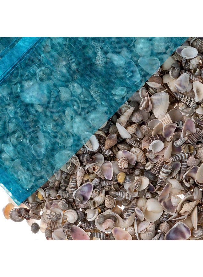Nautical Crush Trading مجموعة متنوعة من أصداف البحر الصغيرة لحديقة الجنيات المصغرة | أصداف بحرية صغيرة للحرف اليدوية والديكور | بالإضافة إلى كتاب إلكتروني مجاني عن الملاحة البحرية من تأليف جوزيف راينز (16 أونصة 1500+) -- 16 أونصة 1500+