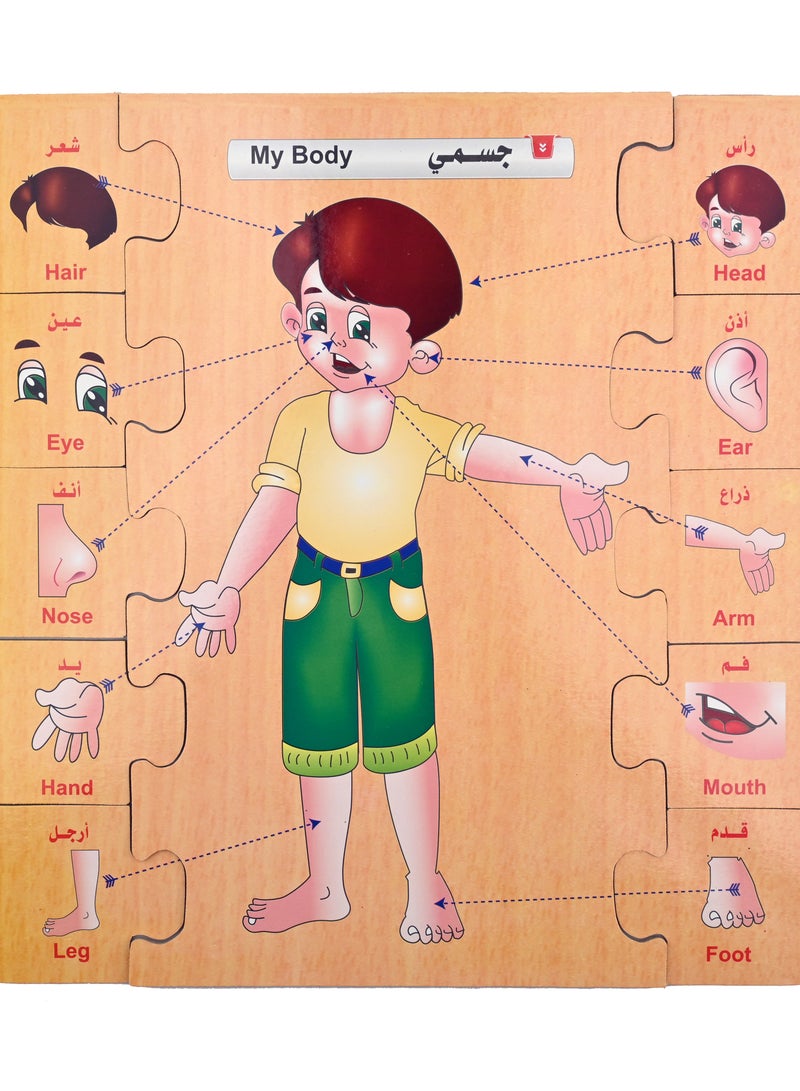 Let's learn Lets Learn Series My Body - Image 3