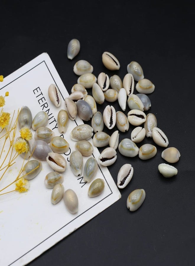 Zotoone 100g 140PCS Natural Sea Shell Loose Beads Home Decoration DIY Craft Conch Shell Pendant Earrings Bracelet Necklace Jewelry Accessories - Image 3