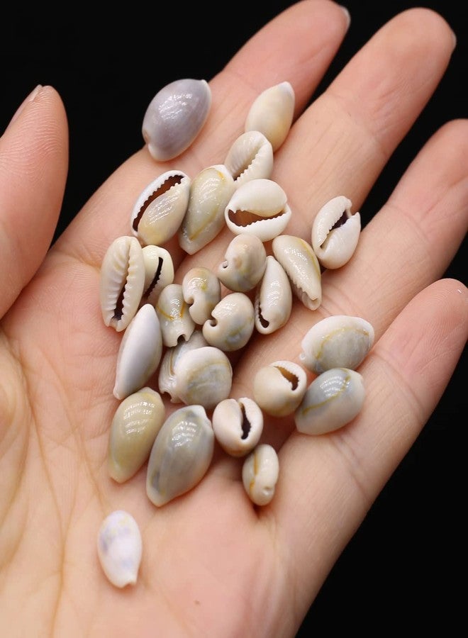 Zotoone 100g 140PCS Natural Sea Shell Loose Beads Home Decoration DIY Craft Conch Shell Pendant Earrings Bracelet Necklace Jewelry Accessories - Image 2