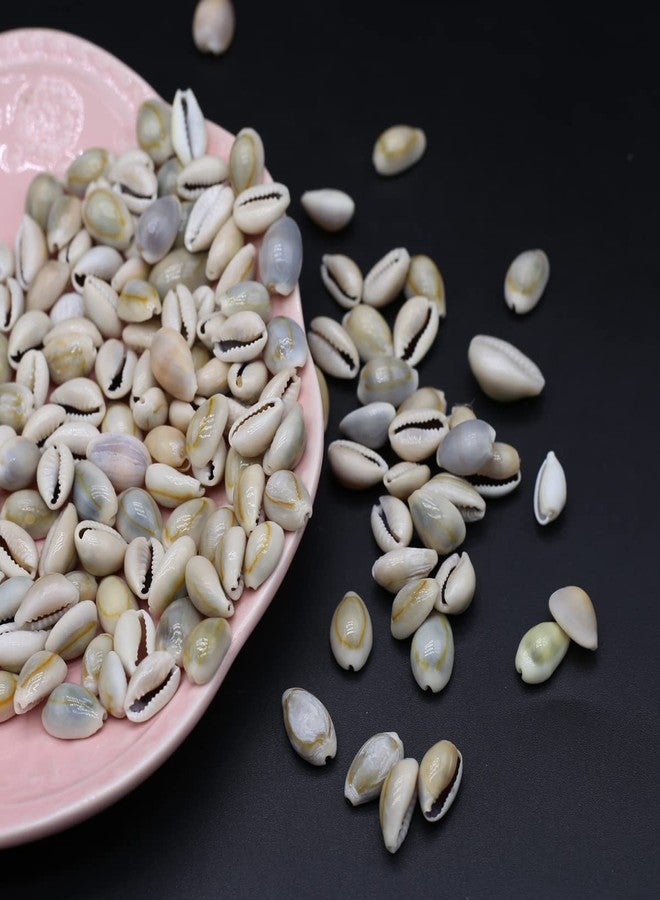 Zotoone 100g 140PCS Natural Sea Shell Loose Beads Home Decoration DIY Craft Conch Shell Pendant Earrings Bracelet Necklace Jewelry Accessories - Image 5
