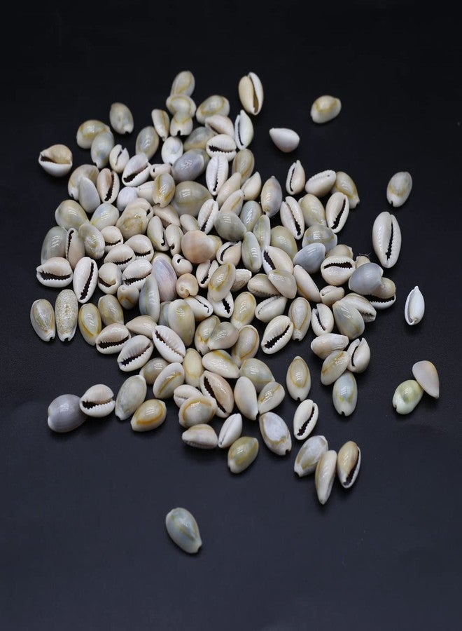 Zotoone 100g 140PCS Natural Sea Shell Loose Beads Home Decoration DIY Craft Conch Shell Pendant Earrings Bracelet Necklace Jewelry Accessories - Image 4
