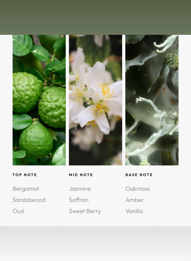 AROMA360 Chandelier Fragrance Oil Blend - Hotel Inspired for Luxury Essential Oil Diffusers - Aromatherapy Scent Diffuser Oil - Bergamot, Sweet Berry, and Oakmoss