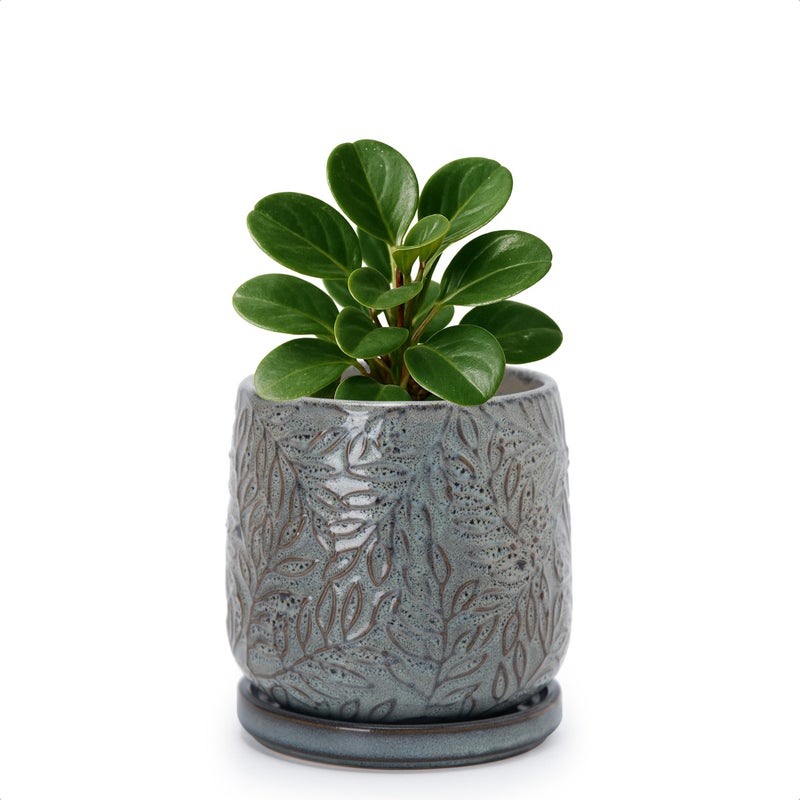 D'vine Dev 4 Inch Embossed Leaves Stoneware Planter Pot with Drainage Hole and Saucer, Graphite Blue, 27-A-Z-9 - Image 1