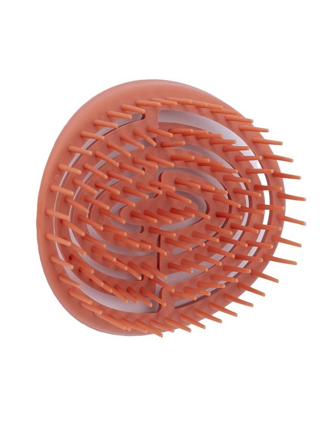 CAISHA فرشاة شعر مبلل CAISHA خالية من الشد فرشاة فك التشابك برتقالية مع زنبرك حلزوني لطيفة على فروة الرأس لجميع أنواع الشعر K110 - Image 1