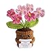 MS ZHENQIAO Handmade Positive Flower Crochet Life is Tough But So are You Inspirational Gift for Women Thank You Appreciation Birthday Gift for Teacher Mom Friend Coworker Knitted Decor - Image 3