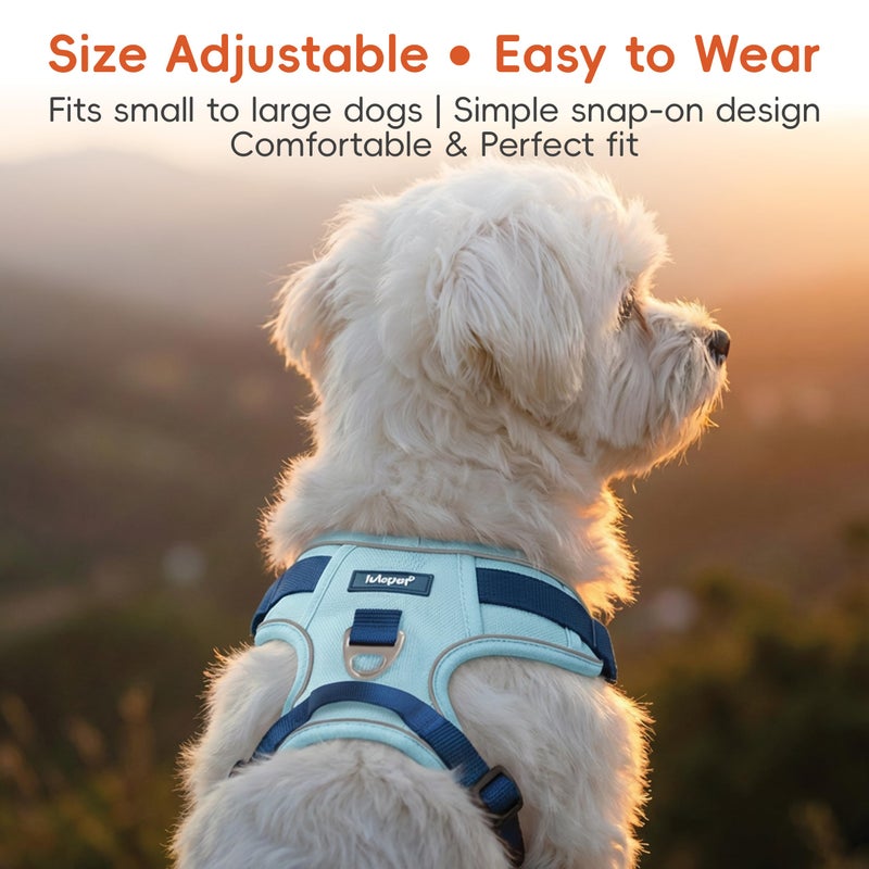 LULUPET 3 in 1 No Pull Dog Harness Leash and Collar Set, Soft Adjustable Dogs Vest Reflective and Comfortable Handle Blue Medium - Image 4