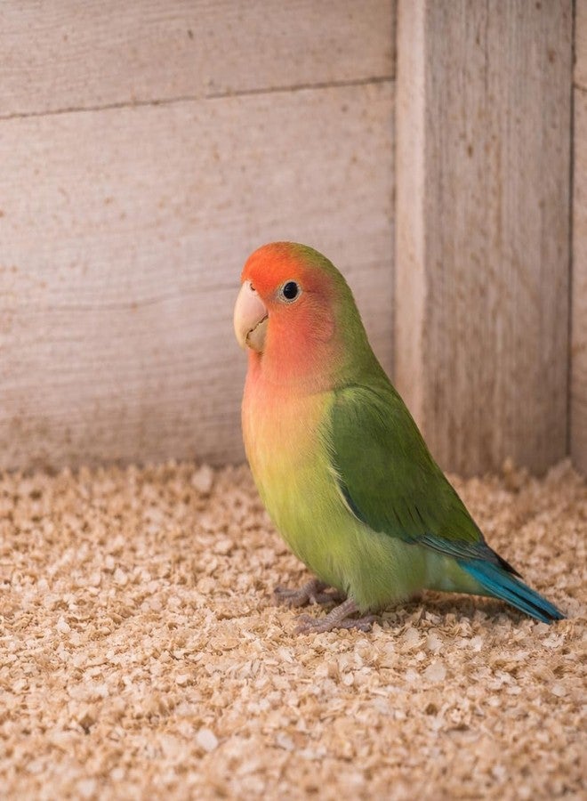 CRIB FACTORY Wood Shavings Bedding 500g | Soft Natural Bedding for Birds & Small Animals (500, Grams) - Image 3