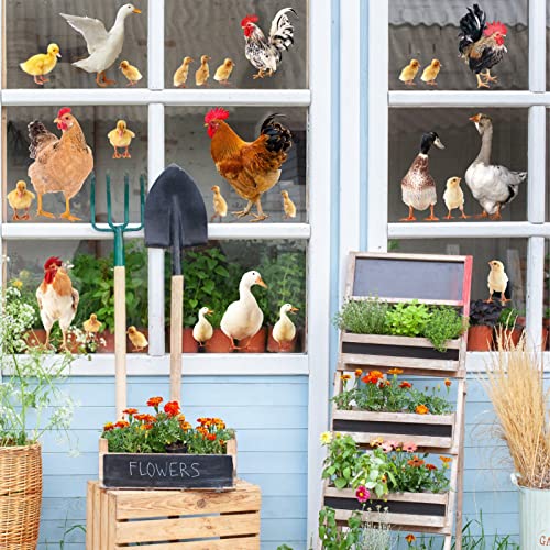 Barri Design Rooster Chicken Wall Stickers Farm Animal Wall Decals Kitchen Decor Peel and Stick Funny Animal Stickers Cute Rooster Duck Goose Cabinet Decal Chick Hen Farmhouse Wall Stickers - Image 2