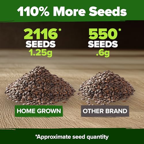 HOME GROWN Non GMO Catnip Seeds (Bulk Pack) Heirloom Herb 2,116 Seeds - Indoor or Outdoor Seed - High-Germination Cat Nip - Cat Safe Plants (Nepeta cataria) - Image 3