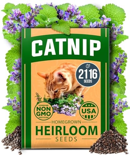 HOME GROWN Non GMO Catnip Seeds (Bulk Pack) Heirloom Herb 2,116 Seeds - Indoor or Outdoor Seed - High-Germination Cat Nip - Cat Safe Plants (Nepeta cataria) - Image 1