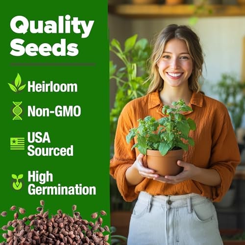 HOME GROWN Non GMO Catnip Seeds (Bulk Pack) Heirloom Herb 2,116 Seeds - Indoor or Outdoor Seed - High-Germination Cat Nip - Cat Safe Plants (Nepeta cataria) - Image 2