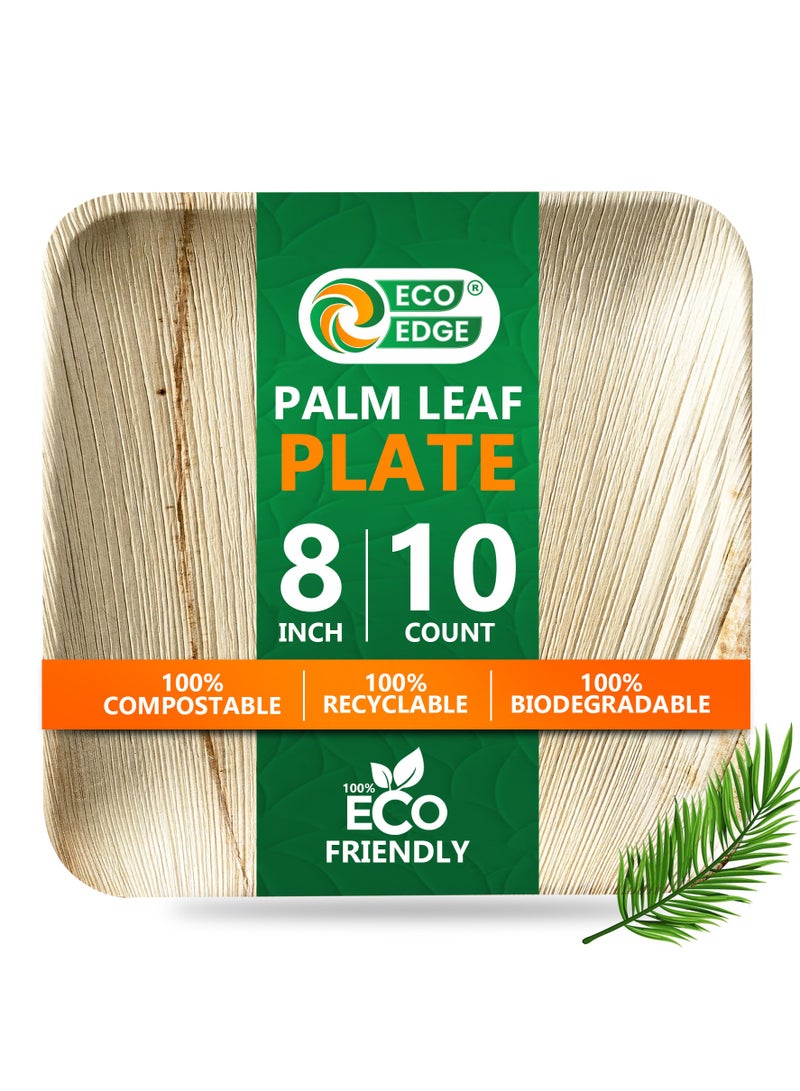 EcoEdge 8 Inch Square Areca Palm Leaf Disposable Plates (Pack of 10) | Zero-Waste | Biodegradable, Eco-Friendly, Plant Based and Sustainable | Microwave and Freezer Safe | 100% Compostable - Image 1