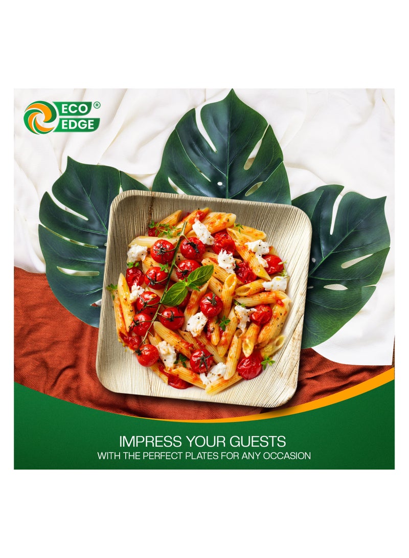 EcoEdge 8 Inch Square Areca Palm Leaf Disposable Plates (Pack of 10) | Zero-Waste | Biodegradable, Eco-Friendly, Plant Based and Sustainable | Microwave and Freezer Safe | 100% Compostable - Image 2
