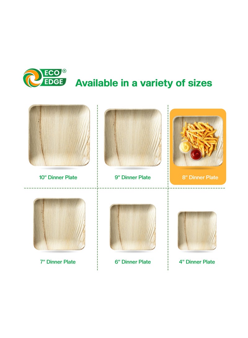 EcoEdge 8 Inch Square Areca Palm Leaf Disposable Plates (Pack of 10) | Zero-Waste | Biodegradable, Eco-Friendly, Plant Based and Sustainable | Microwave and Freezer Safe | 100% Compostable - Image 3