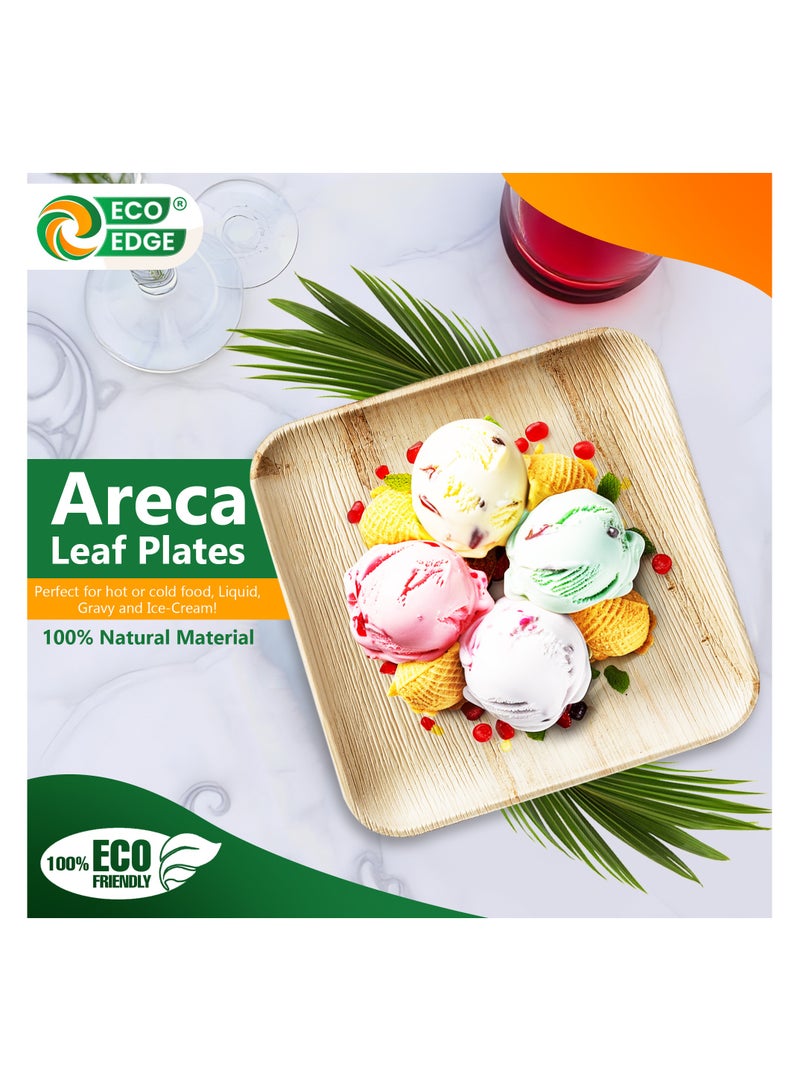 EcoEdge 8 Inch Square Areca Palm Leaf Disposable Plates (Pack of 10) | Zero-Waste | Biodegradable, Eco-Friendly, Plant Based and Sustainable | Microwave and Freezer Safe | 100% Compostable - Image 4
