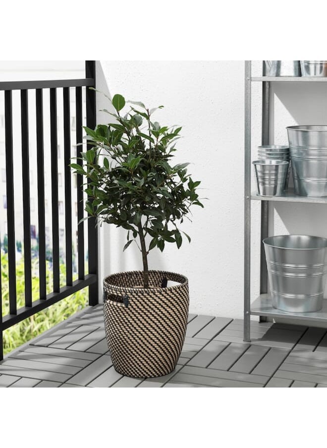 Plant Pot In And Outdoor Dark Grey And Beige 24 Cm - pzsku/ZEBA316A797950CBF4715Z/45/_/1692347957/953523a1-e0c1-4f65-bb4f-295ab39d7fe6