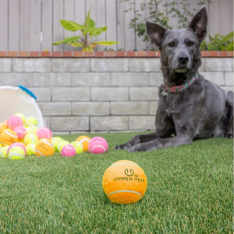 Hyper Pet Mini Tennis Balls for Dogs - Safe and Fun Fetch Toys, Pack of 4, Orange - Image 4