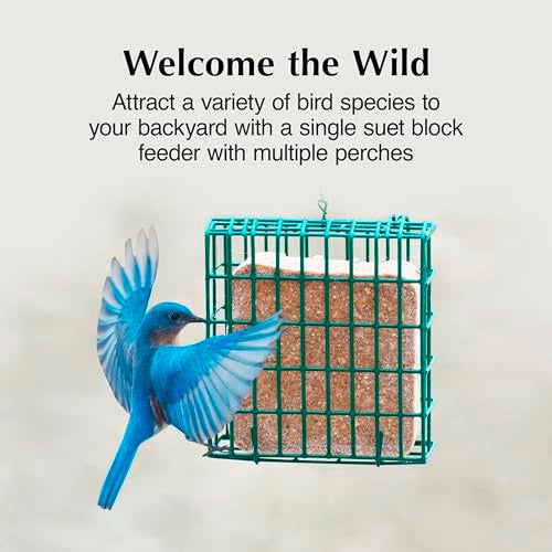 CS C&S EZ Fill Suet Basket, Suet Feeders for Wild Birds, Holds One Suet Cake, 8 Ounces - Image 2