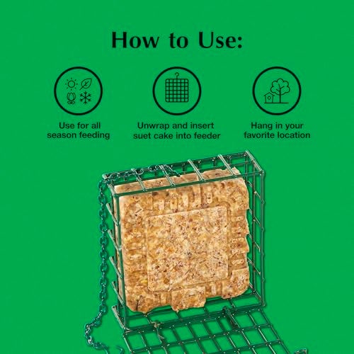 CS C&S EZ Fill Suet Basket, Suet Feeders for Wild Birds, Holds One Suet Cake, 8 Ounces - Image 5