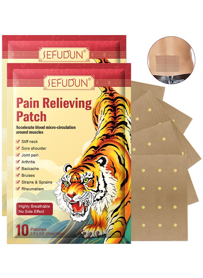 Sefudun - Pain Relieving Patches, Chinese Tiger Patch, Tiger Balm For All Parts Of Body, Shoulder Pain, Back Pain, Knee Pain, Arthritis Pain, Bone Pain Relief Back Pain Patch, Targeted Pain Relief (20 Patches) - Image 1