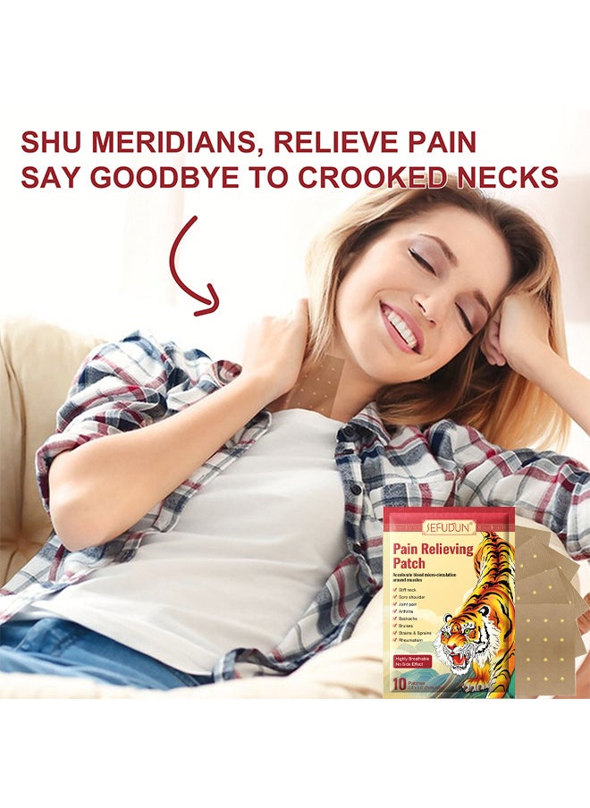 Sefudun - Pain Relieving Patches, Chinese Tiger Patch, Tiger Balm For All Parts Of Body, Shoulder Pain, Back Pain, Knee Pain, Arthritis Pain, Bone Pain Relief Back Pain Patch, Targeted Pain Relief (20 Patches) - Image 1