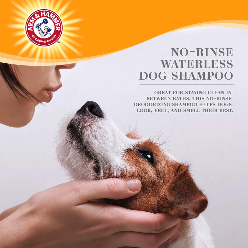 Arm & Hammer for Pets Ultra Fresh Dog Deodorizing Foam, Juniper Mist Scent - No Rinse Waterless Dog Shampoo for Smelly Dogs, Pet Deodorizer, Bathing Supplies, 8 Fl Oz - Image 2