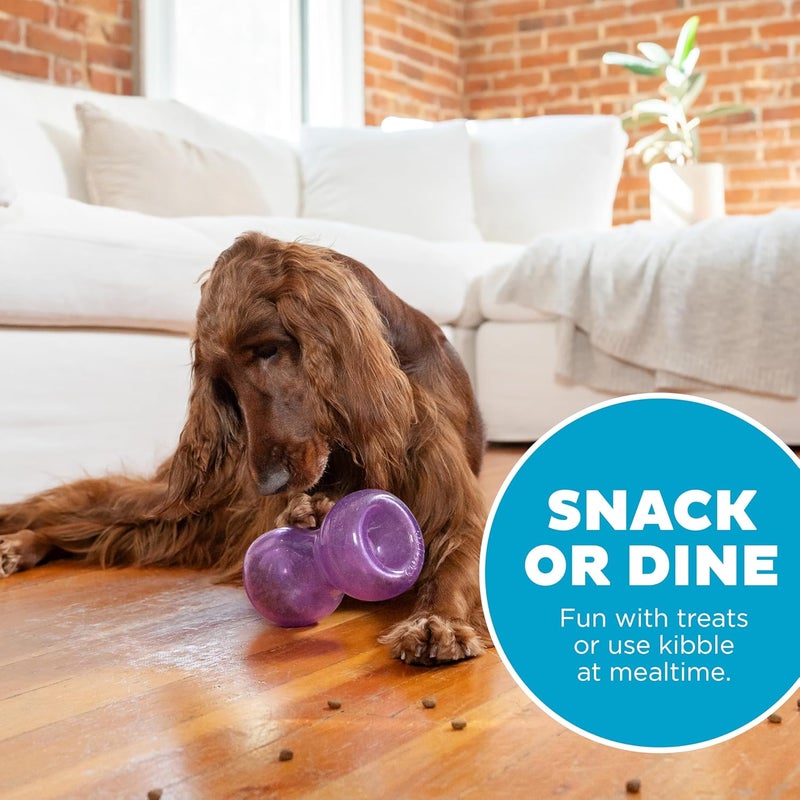 اوتورد هاوند تصميم بسيط متعدد الألوان لع��ة الكلب المتينة "Outward Hound Double Snoop" التفاعلية المحشوة بالمكافآت، لعبة مكافآت الكلاب، أرجوانية يوفر على المشتري - Image 5