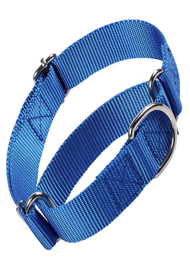 WeimoMonkey Blue Martingale Dog Collar for Large Dogs, Escape Proof Dog Choke Collar No Pull Cinch Heavy Duty Dogs Training Collars Adjustable for S M L Breed Pet - Image 1