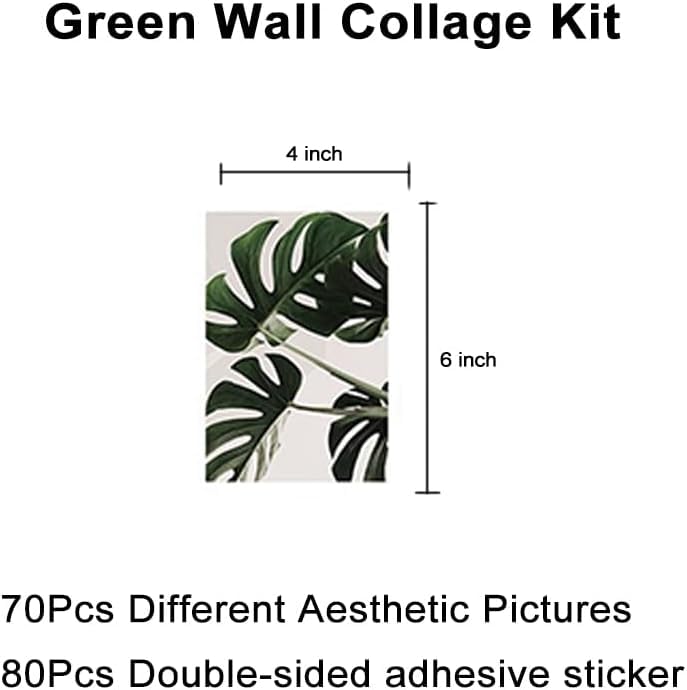 70pcs Wall Collage Kit Aesthetic Picures Green Plant Room Decor Aesthetic Collage Picture Wall Decor for Teen Girlsboys Room bedroom Dorm 4x6 inch M9001Green  - Image 2