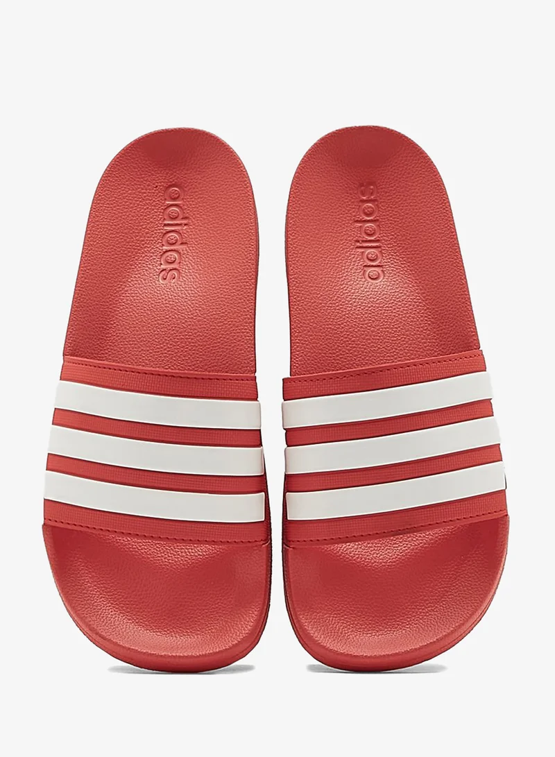 Adidas VIVRED/FTWWHT/VIVRED Adilette Shower for Men | Best Price UAE