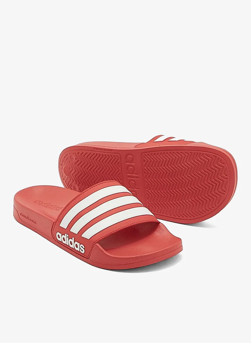 Adidas VIVRED/FTWWHT/VIVRED Adilette Shower for Men | Best Price UAE