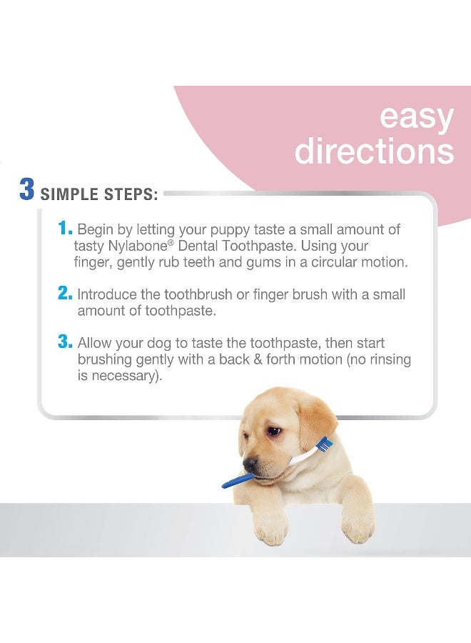 Nylabone Advanced Oral Care Puppy Dental Kit, Multi-colored, 3 Count - Image 3