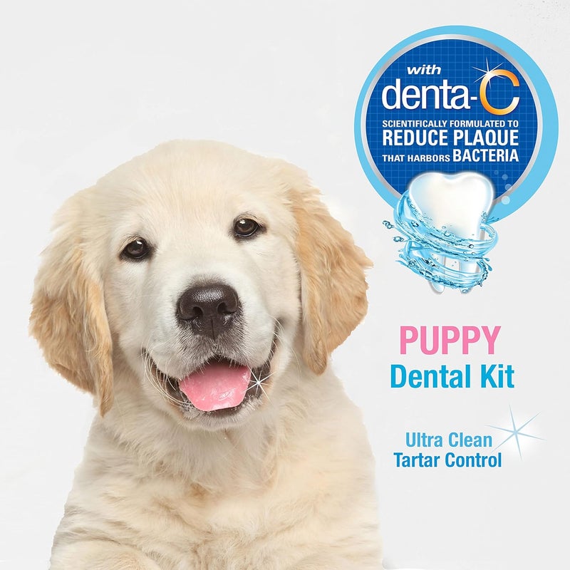 Nylabone Advanced Oral Care Puppy Dental Kit, Multi-colored, 3 Count - Image 4