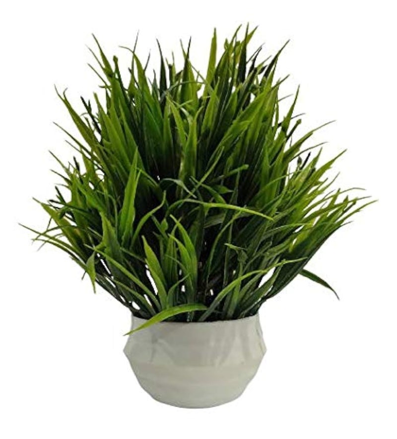Dekorly Indoor Greenery Tabletop Decor Home Extra-Long Artificial Fake Green Grass in White Pot for Home Decor - Image 4