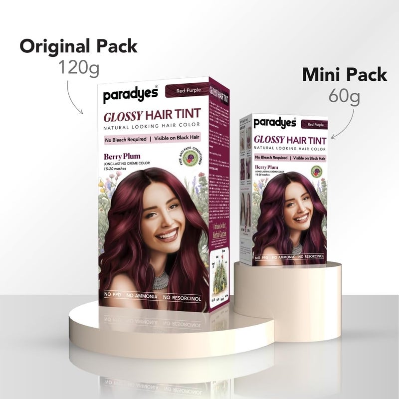 Paradyes No Bleach Mini Berry Plum Glossy Hair Tint AmmoniaFree Formula for Natural Black Hair Visible on Natural Black Hair - Image 3