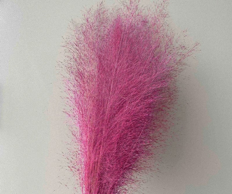 Y&D Dried Muhly Grass Decor - Natural Pampas Grass Boho Wedding Flower Arrangement, Muhlenbergia Capillaris, Dried Plants for Home Decor - Image 5