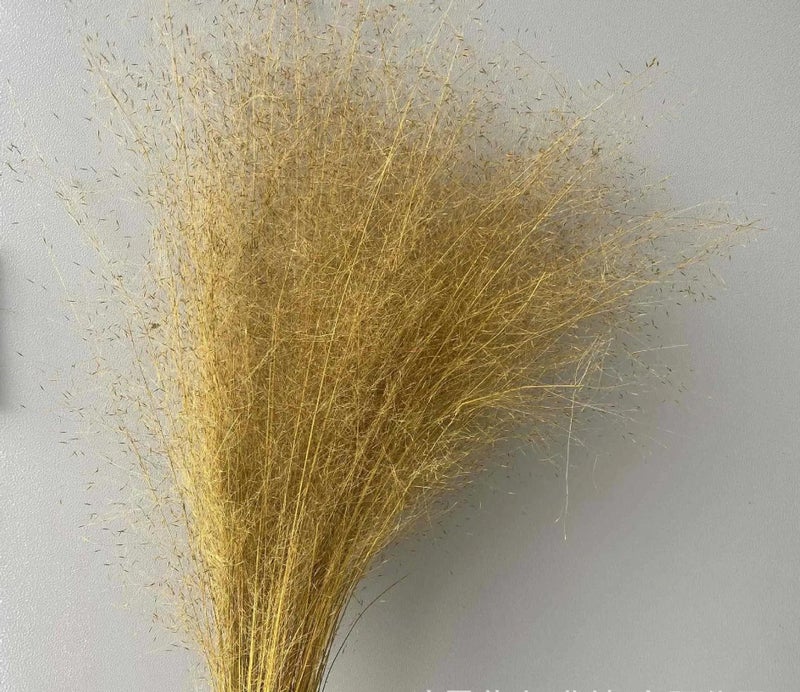 Y&D Dried Muhly Grass Decor - Natural Pampas Grass Boho Wedding Flower Arrangement, Muhlenbergia Capillaris, Dried Plants for Home Decor - Image 4
