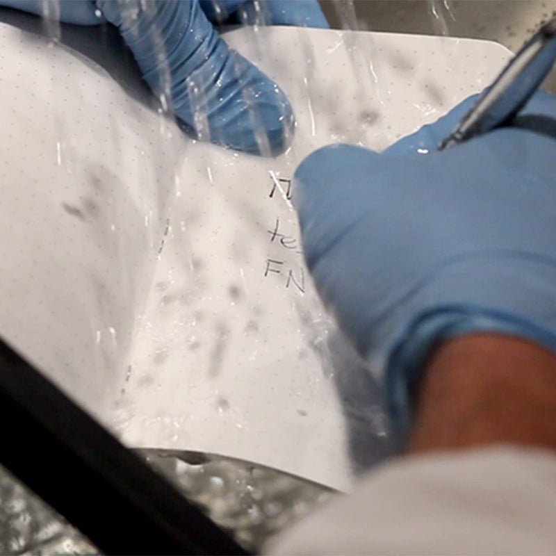 Field Notes | Expedition Edition 3-Pack | Waterproof Notebook - Image 4