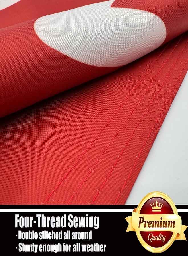 ducuh Valentines Day Flag 3x5 Outdoor Double Sided 3 Ply-Love Heart Valentines Day Flags-Vivid Color Clear Pattern Reinforcement Sewing Durable Polyester with 2 Brass Grommets - Image 5