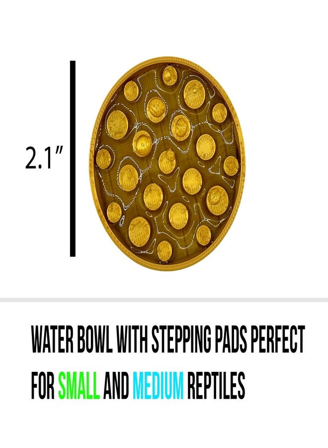 CTWPets Leopard Gecko Water Bowl - Walkable Water Bowl - Tarantula Water Bowl (Silk Gold) - Image 2