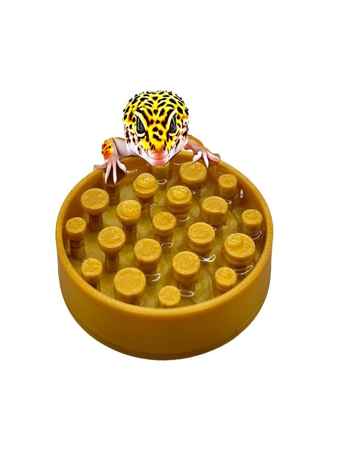 CTWPets Leopard Gecko Water Bowl - Walkable Water Bowl - Tarantula Water Bowl (Silk Gold) - Image 1